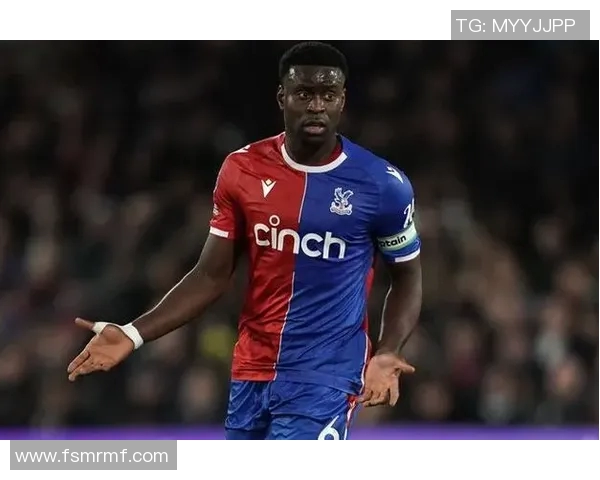 水晶宫计划冬窗出售身价5000万格伊红军将面临皇萨仁激烈竞争 水晶宫计划冬窗出售身价5000万格伊红军将面临皇萨仁激烈竞争